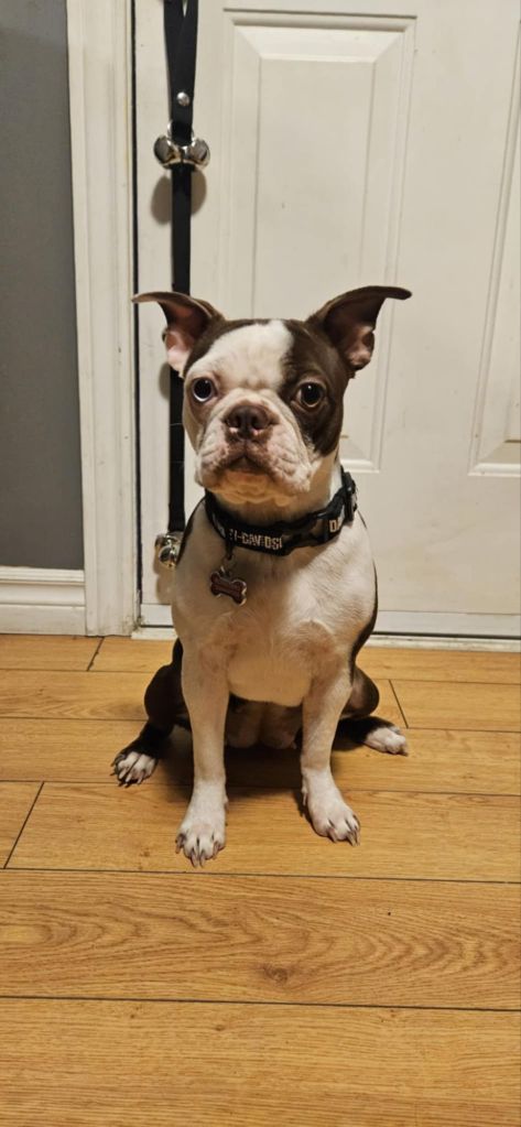 messenger_creation_0bc348fe-1958-4f0d-b7a0-409c2b43ac784281649433208573403