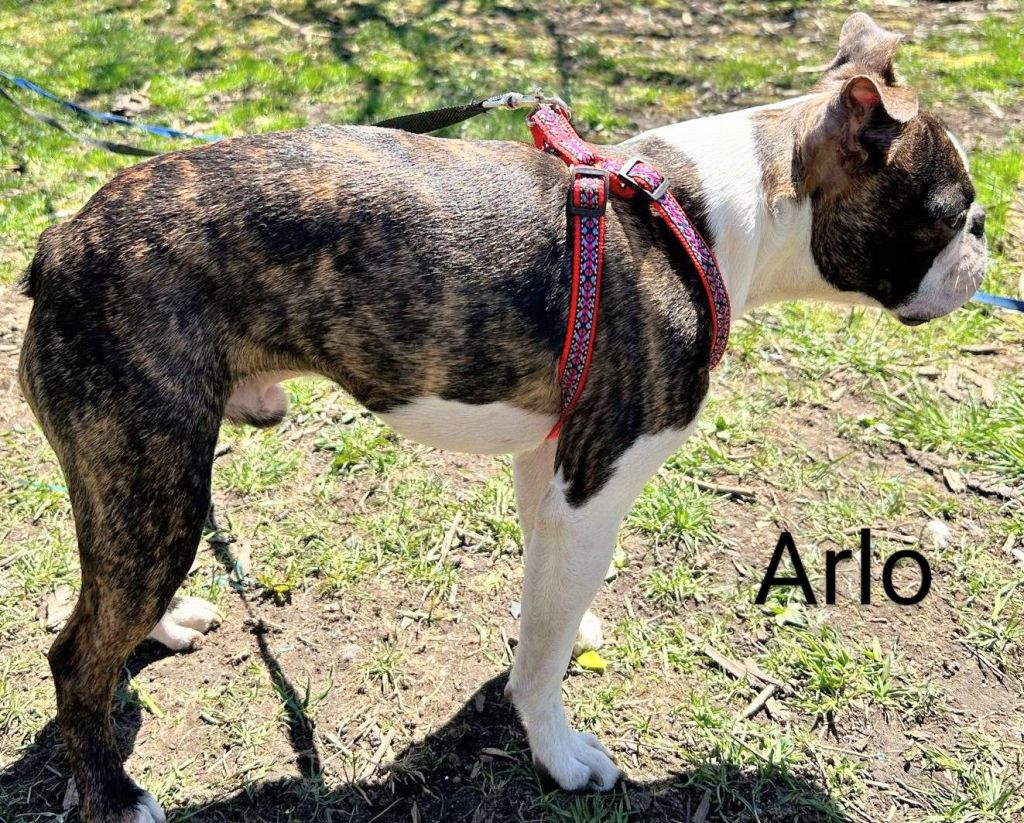 messenger_creation_2658d6ce-cf67-40f5-80f0-1cee1a3b57af21023904665854783235.