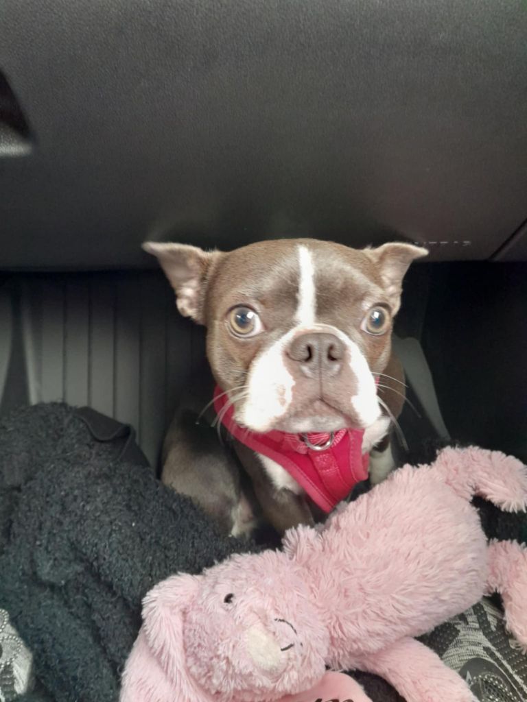 messenger_creation_4646c318-e894-4655-ad0c-ffaacefdd8636376785532511996289