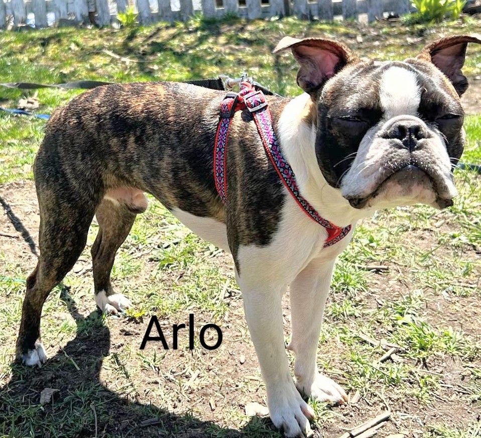 messenger_creation_dbcec3d0-ac86-4d97-b8d2-8f8259aa6c08~27778823287569279590.