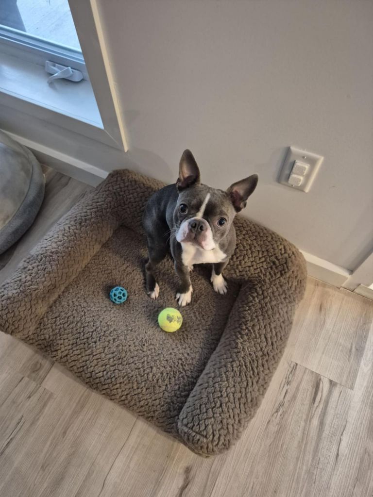 messenger_creation_f44dbc77-1e4a-4a6a-a89a-e42f3e86ad556548790670966274188